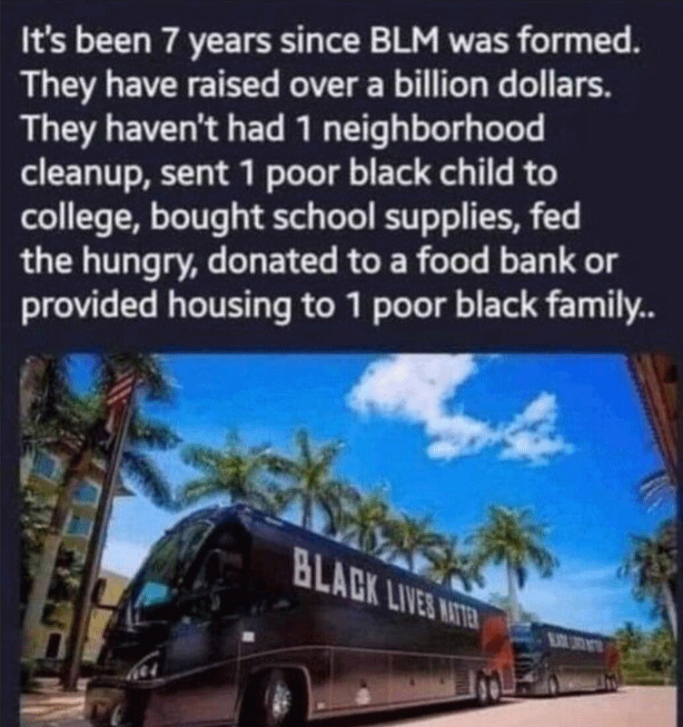 BLM raised 1 billion dollars and have yet to help a single black in poverty