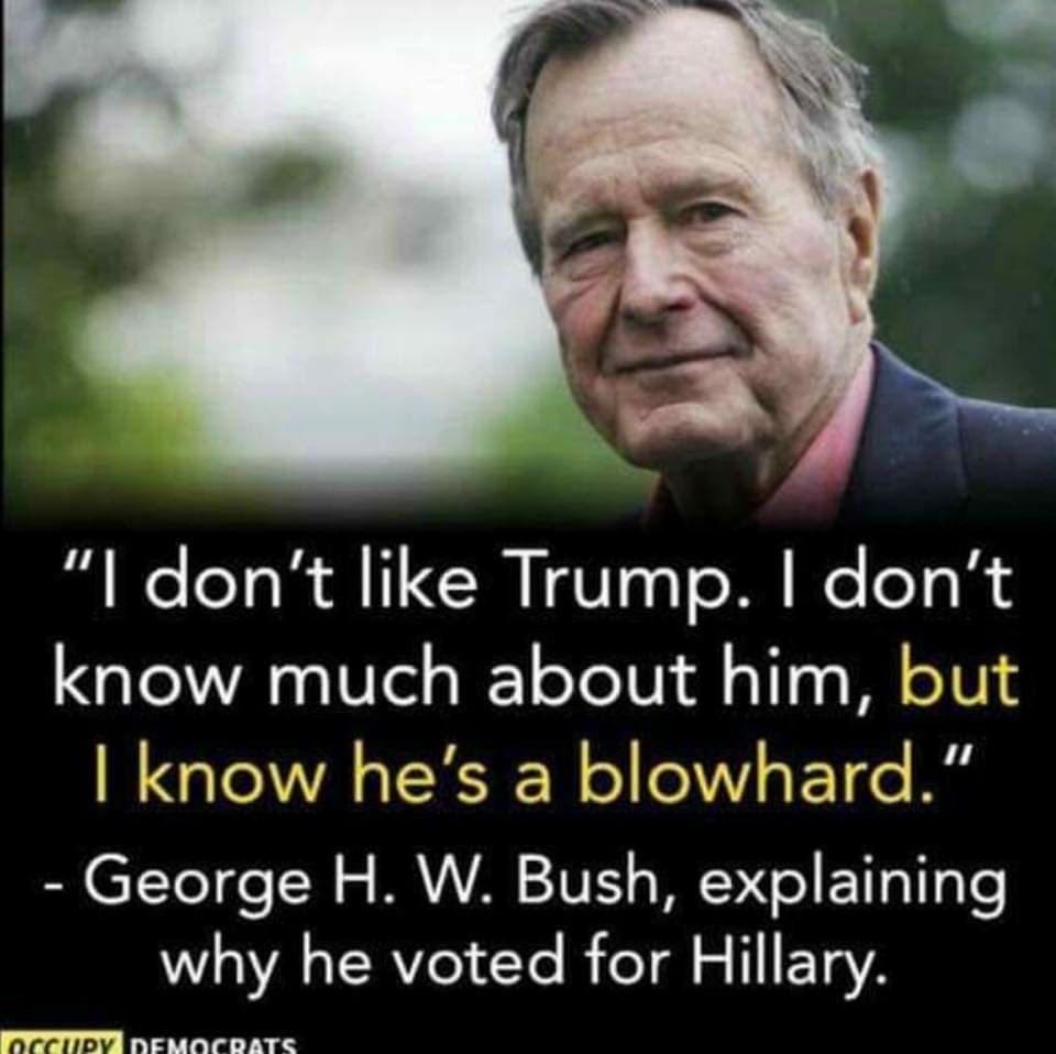 Bush voted for Hillary