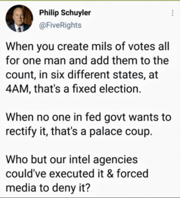 when you create millions of votes, no one in govt wants to rectify it, who but our intel agencies could have pulled it off?