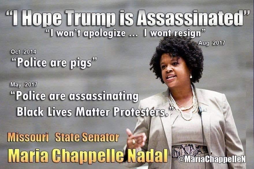 Maria Chappelle Nadal, Missouri senator who called for Trump assassination running for Missouri House seat