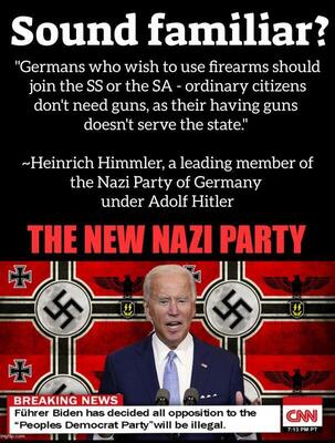 ...ordinary citizens don't need guns...Heinrich Himmler 