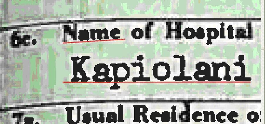 The word 'Name' printed on the form and the lines above and below drop down two pixels while the typed-in hospital name, 'Kapiolani', does not, he says.