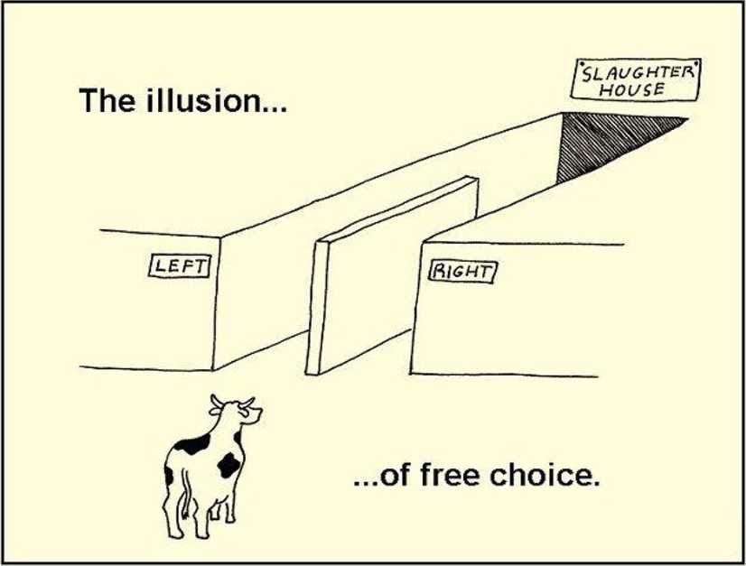 Politically left or right, two parties, same destination