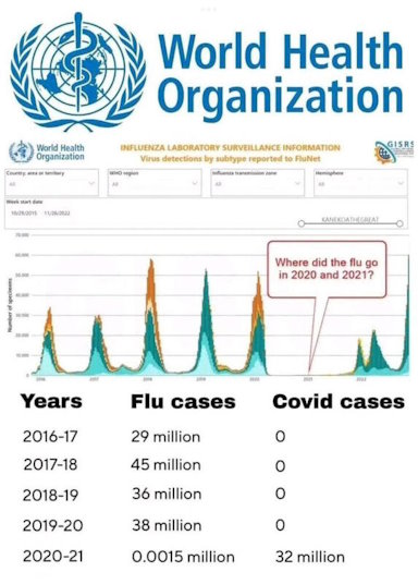 Flu cases disappear when covid cases are needed