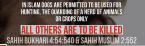 Muslims kill dogs just because