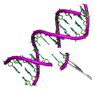 gene-splicing