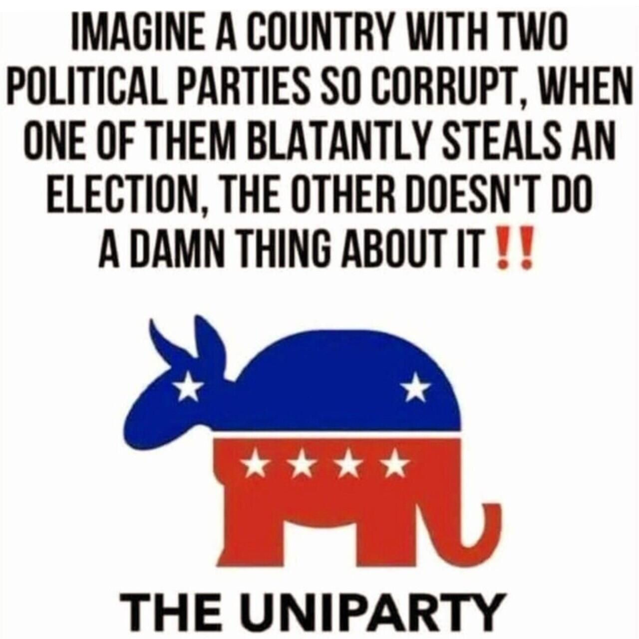 imagine a country w/two political parties so corrupt that if one stole the election, the other would not do anything about it