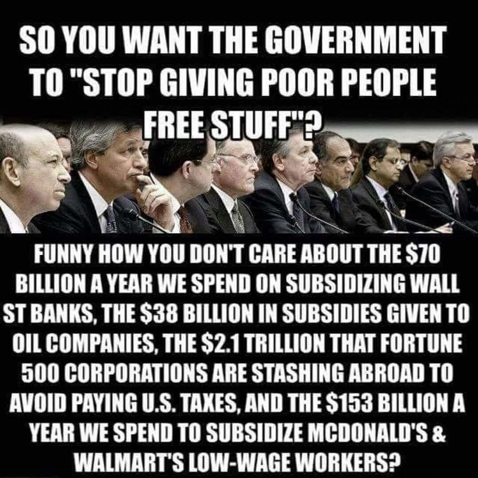 government subsidizing