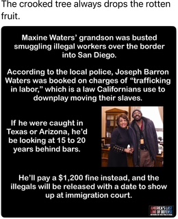 Walter's grandson gets off a felony